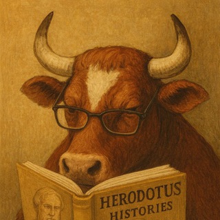 História pra boi dormir 🐂