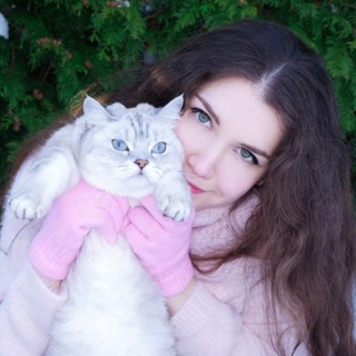 ASMR KittyKlaw 🐈 ✔