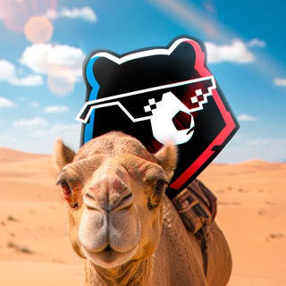 Мир Российская Премьер-Лига ✔