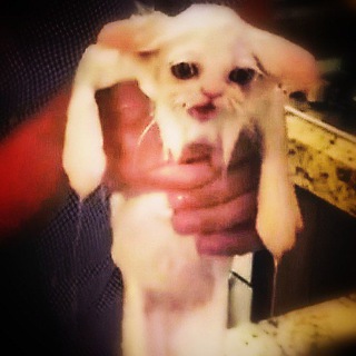 Аватарки для мужиков