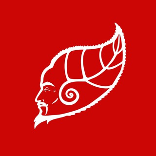 True Tea Club / Китай Чай СПБ