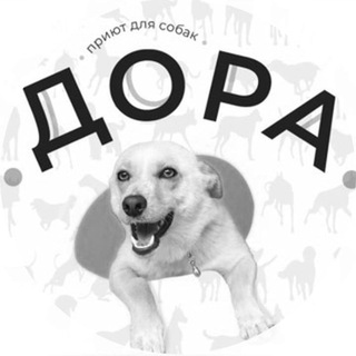 Коментарии к каналу ВГОО «Общество защиты животных «Дора»