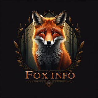Fox_info🦊🦊🦊