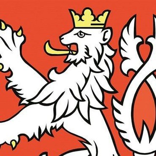 Czech Memes & Tiktoks