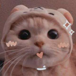 ножки твоей сестрёнки