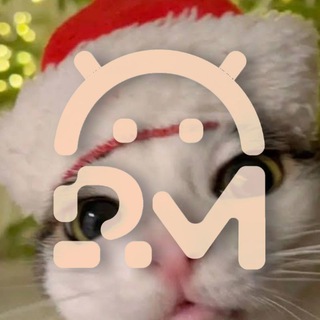 𝗽𝗼𝗽𝗠𝗢𝗗𝗦 | 𝗙𝗢𝗦𝗦, 𝗟𝗶𝗳𝗲, 𝗠𝗲𝗺𝗲𝘀