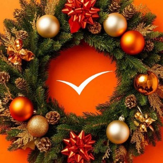 Новости VL.ru | Владивосток