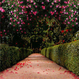 Ищу девушку, парня, знакомства, общение