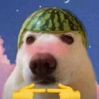 Братишкин бб