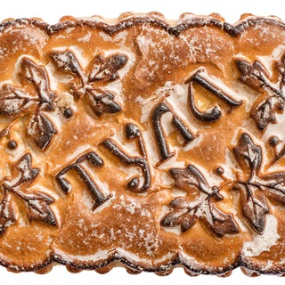 Тула – городской канал