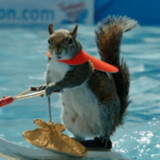 Santa Surfing