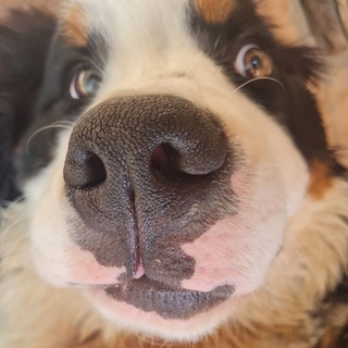 Обитель Вождяры