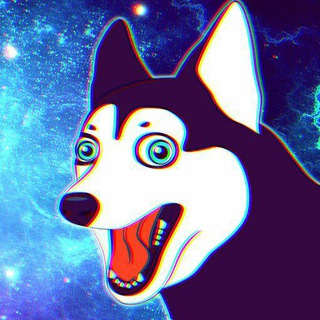 Doga Dog