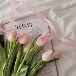 𝒆𝒗𝒆𝒓𝒎𝒐𝒓𝒆 🌷