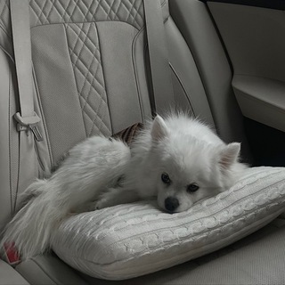 ESIGN | podval_dqmira