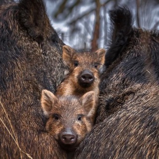 чат обмена 1507th 🥓