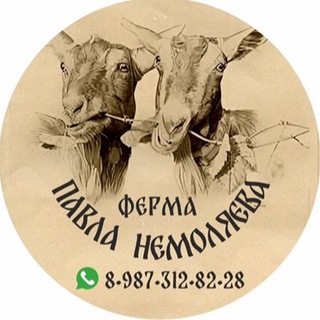 ПАВЕЛ НЕМОЛЯЕВ