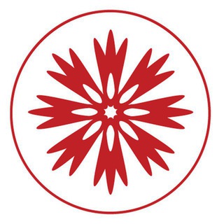 Врачи за правду и справедливость