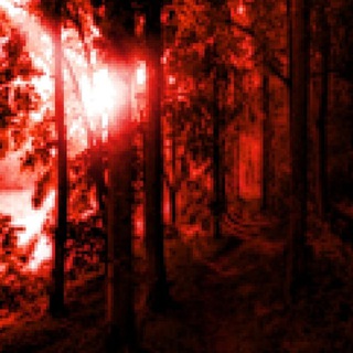 Рест! Лимбо Антона Синикожего🥀🔥