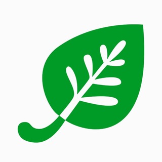 iHerb Shopping