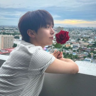 Caratland en español 💎 Seventeen