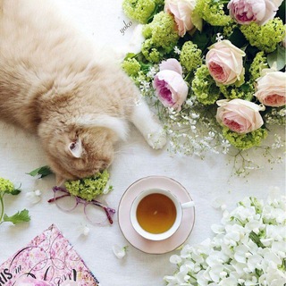 Ваше вдохновение. Territory of the Soul