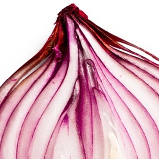 Onion Search Engine