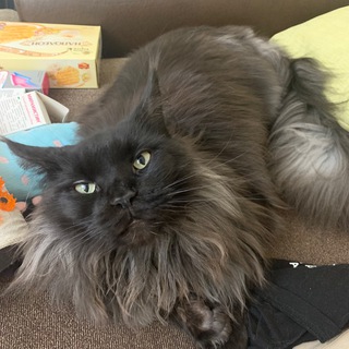 Балдежные тиктоки