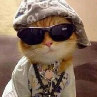 vladikvladikk