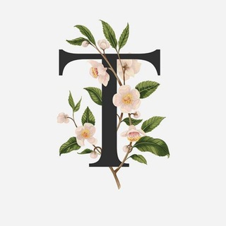 Красивые шрифты 📝 | Бот шрифтов