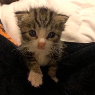 СТИКЕРОЧНАЯ | ПОШЛЫЕ СТИКЕРЫ