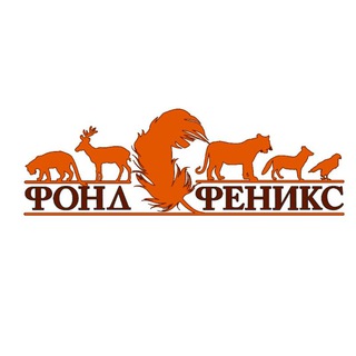 Фонд "Феникс"