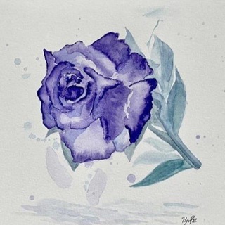 StaaaArts & Wallpaper & Image 🎨