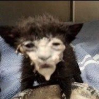 Рочильня Нижегородская (общий чат)