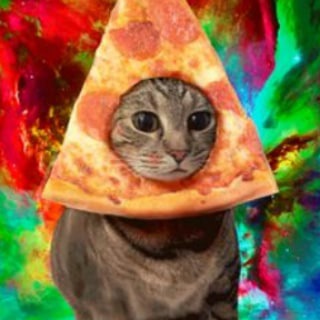 FREE PIZZA
