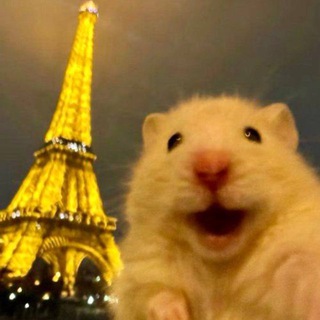 Взаимные подписки| пиар тгк❤️‍🔥