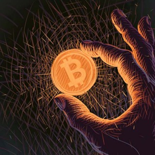 Cryptoy ₿ ✔