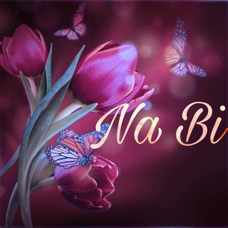 Nabi Translation