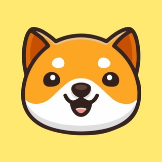 Baby Doge Chat ✔