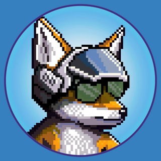 Aviator – $AVI Community ✈️