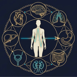 Гид полиморбидности