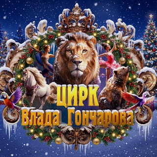 ЦИРК ВЛАДА ГОНЧАРОВА