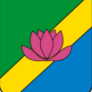 Администрация Лесозаводского муниципального округа