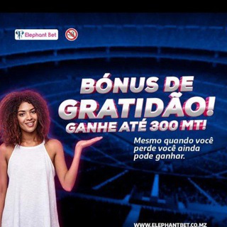 Aviator/ Elephant bet