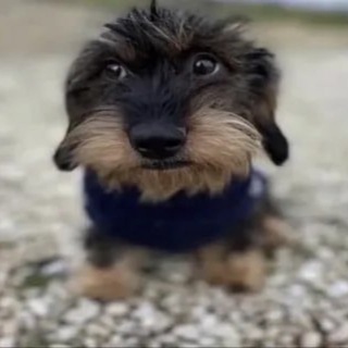 george floyd channel