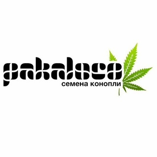 Pakaloco сайт
