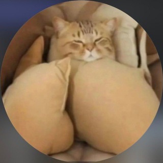 💦 WBERY DUNYASHA VIDEOO