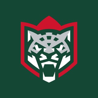 ХК «Ак Барс» ✔