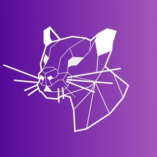 Discord Insider — Новости Дискорда