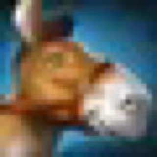 Dota 2 stickers